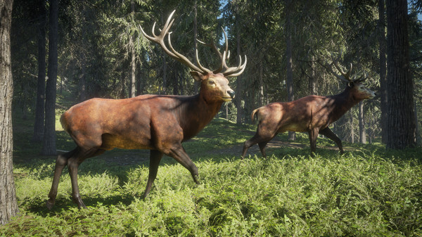 theHunter: Call of the Wild™for windows and Linux 1