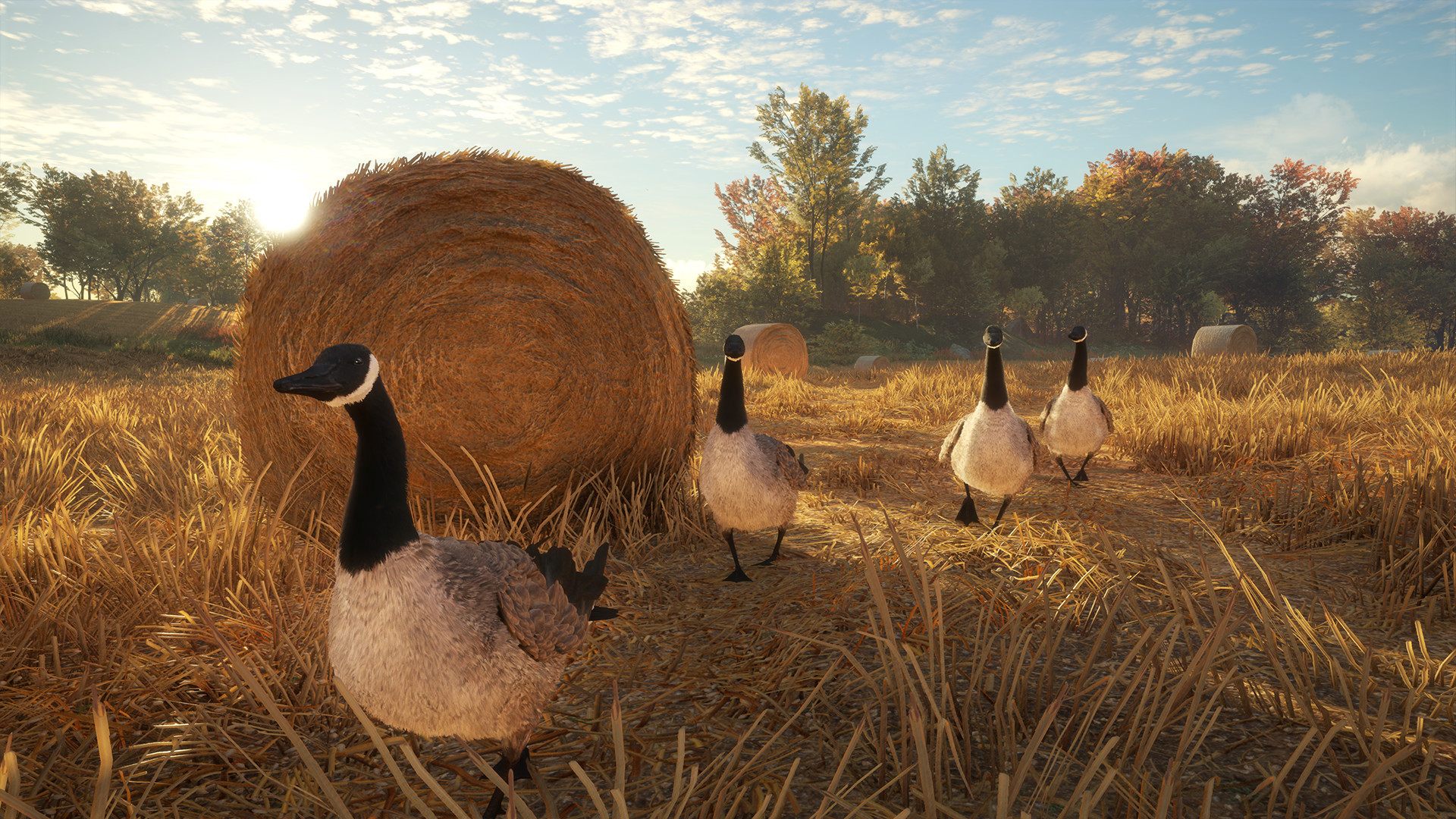 30 Games Like Thehunter Call Of The Wild Steampeek 30 Games Like Thehunter Call Of The Wild Steampeek