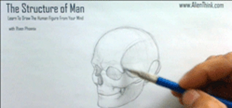 Complete Figure Drawing Course HD: 015 - The Journey to 3/4 view of Human Skull  - Part 3 cover art