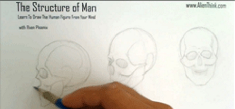 Complete Figure Drawing Course HD: 016 - The Journey to 3/4 view of Human Skull  - Part 4 cover art