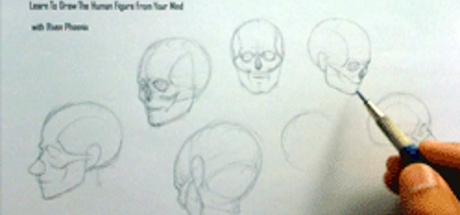 Complete Figure Drawing Course HD: 017 - The Journey to 3/4 view of Human Skull  - Part 5 cover art