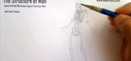 Complete Figure Drawing Course HD: 062 - The invention of the Radius & Ulna cover art