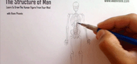 Complete Figure Drawing Course HD: 070 - Conclusion of the Skeleton - Back View cover art