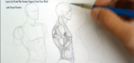 Complete Figure Drawing Course HD: 134 - The Muscles of The Torso - Part 15 cover art