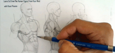 Complete Figure Drawing Course HD: 136 - The Muscles of The Torso - Part 17 cover art