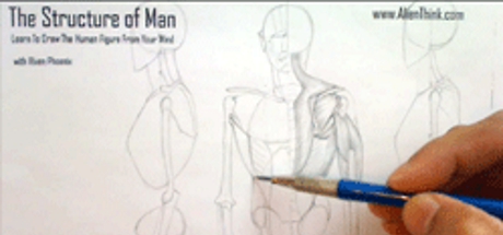 Complete Figure Drawing Course HD: 142 - The Muscles of the Arm - Part 4 cover art