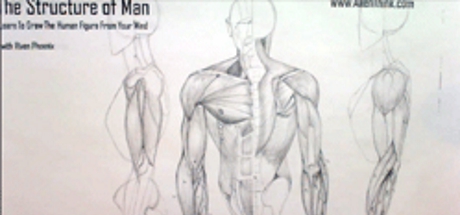 Complete Figure Drawing Course HD: 146 - The Muscles of the Arm - Part 8 cover art