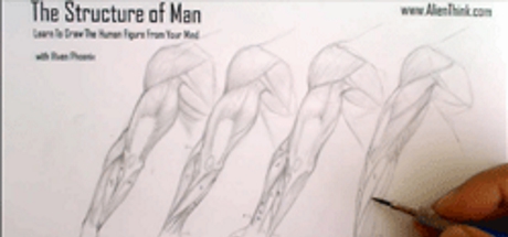 Complete Figure Drawing Course HD: 150 - The Muscles of the Arm - Part 12 cover art