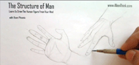 Complete Figure Drawing Course HD: 164 - The Muscles of the Hand - Part 9 cover art