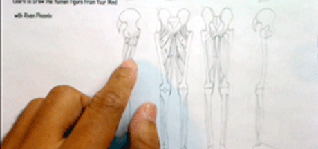 Complete Figure Drawing Course HD: 170 - The Muscles of the Pelvis & Leg - Part 4 cover art