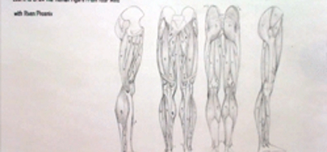 Complete Figure Drawing Course HD: 176 - The Muscles of the Pelvis & Leg - Part 10 cover art