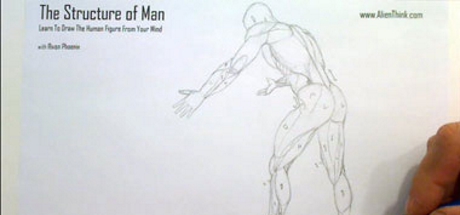 Complete Figure Drawing Course HD: 14 - Wrapping Muscles on Mannequin Pose 13 cover art