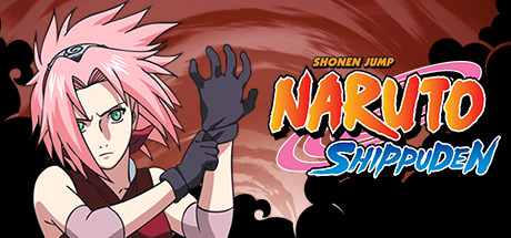 Naruto Shippuden Uncut: The New Target cover art