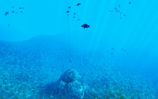 The Fishing Club 3D game for windows Pc 1