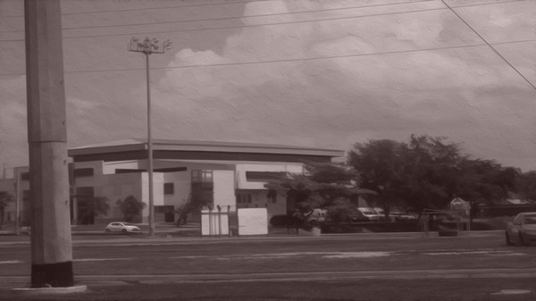 The Final Days: I'm Still Alive game for Linux 1