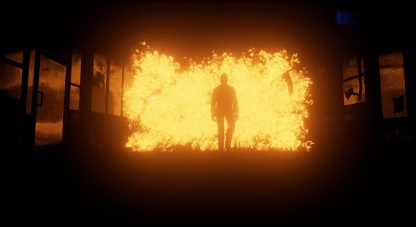 Of Bird and Cage for linux