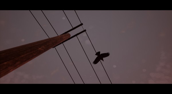 Of Bird and Cagefor windows and Linux 1