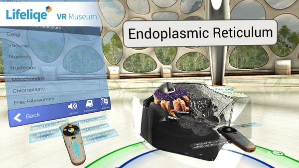 Скриншот из Lifeliqe VR Museum