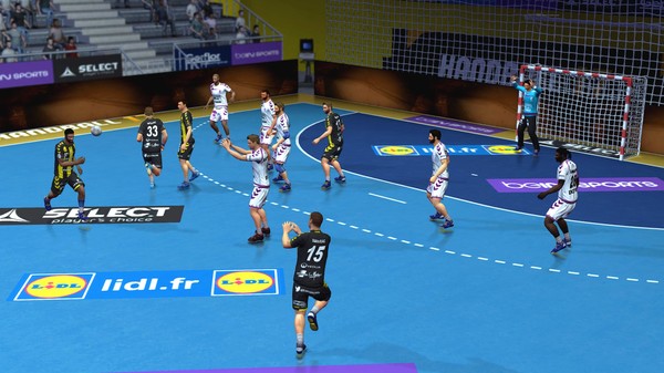Скриншот из Handball 17