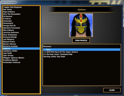 Total Extreme Wrestling 2013 recommended requirements