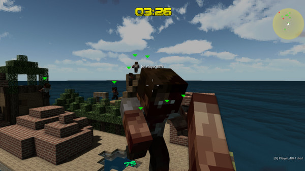 Pixel-Warfare: Pro game for Linux 1