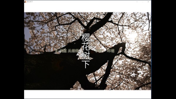 Скриншот из Beneath The Cherry Trees