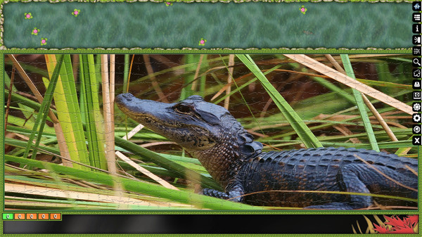 Скриншот из Jigsaw Puzzle Pack - Pixel Puzzles Ultimate: Reptile