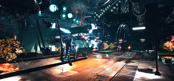 Nelofor windows and Linux 1