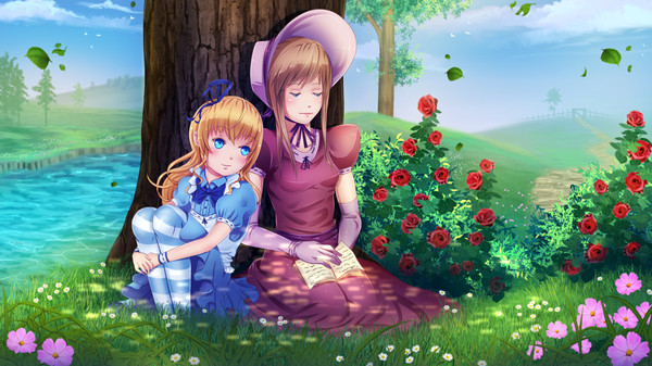 Book Series - Alice in Wonderland requirements