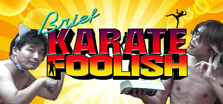 Boxart for Brief Karate Foolish