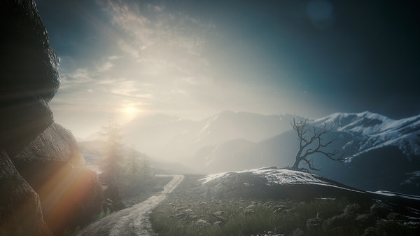 The Butterfly Signfor windows and Linux 1