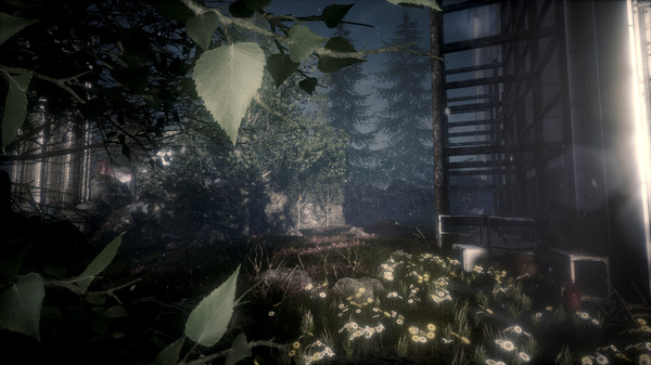 Скриншот из The Butterfly Sign