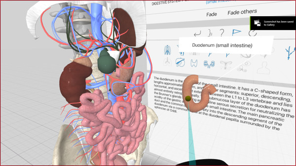 Скриншот из 3D Organon VR Anatomy 2018