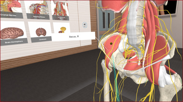 3D Organon VR Anatomy game for windows Pc 1