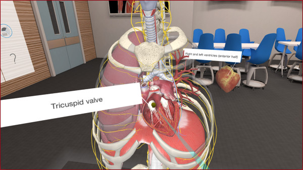 3D Organon VR Anatomy game for Linux 1