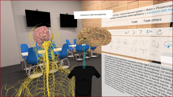 Скриншот из 3D Organon VR Anatomy 2018