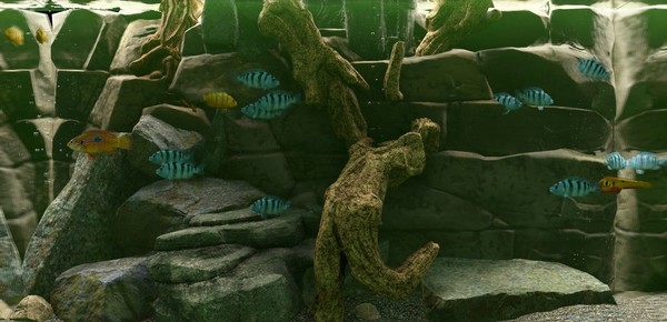 Скриншот из Biotope