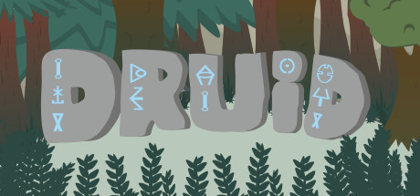 Druid 游戏图标