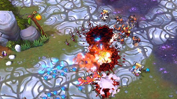 The Maestrosfor windows and Linux 1