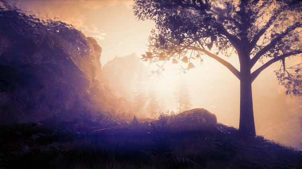 Скриншот из The Butterfly Sign: Human Error