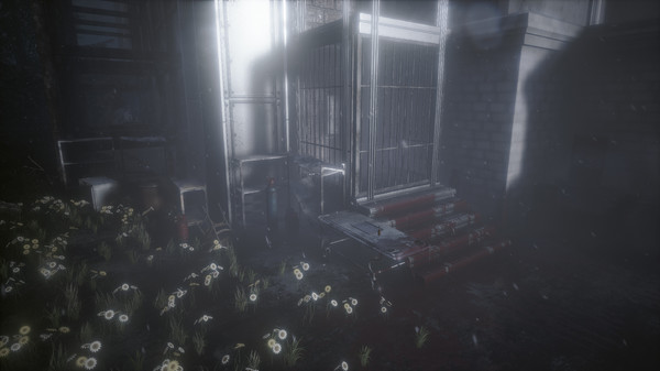 Скриншот из The Butterfly Sign: Human Error