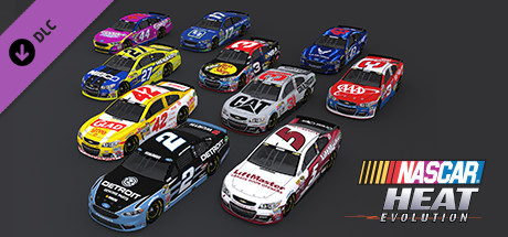 NASCAR Heat Evolution - Skins Paint Scheme Pack 6 (paintschemepack6) cover art
