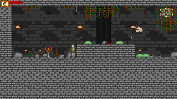 Madness game for Linux 1