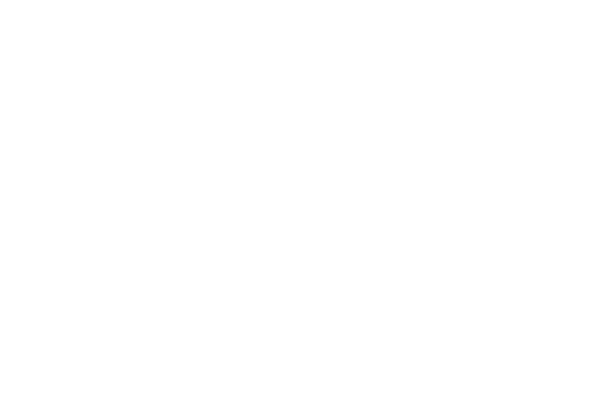 Lost Wing Logo