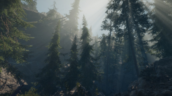 Скриншот из A Walk in the Woods