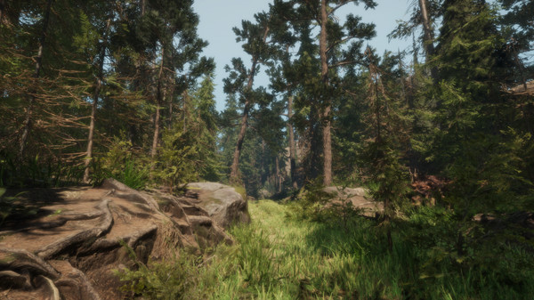 A Walk in the Woodsfor windows and Linux 1