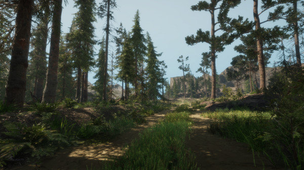 A Walk in the Woods game for Linux 1