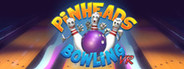 Pinheads Bowling VR System Requirements