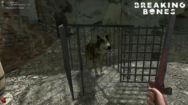 Breaking Bonesfor windows and Linux 1