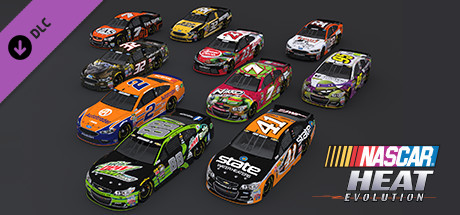 NASCAR Heat Evolution - Skins Paint Scheme Pack 9 (paintschemepack9) cover art